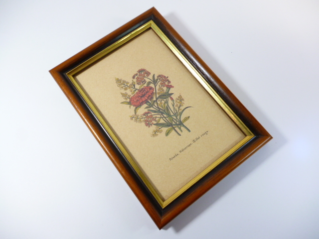 Й ITARY 壁掛け 壁飾り Й イタリア製 植物 絵 画 額 拍卖