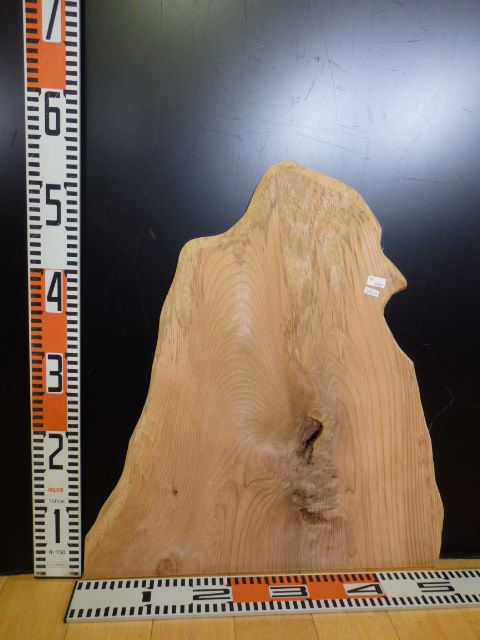 2092222●杉板●約54.3cm×厚1.2cm拍卖
