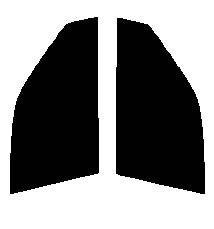 スパッタゴールド80 運転席・助手席 トヨタ クラウン セダン S17# カット済みカーフィルム 拍卖