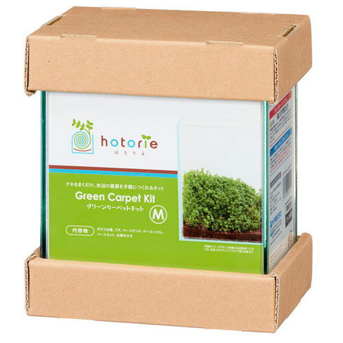 水作 ほとりえ グリーンカーペットキットM 熱帯魚・アクアリウム/水槽・アクアリウム/水槽セット拍卖