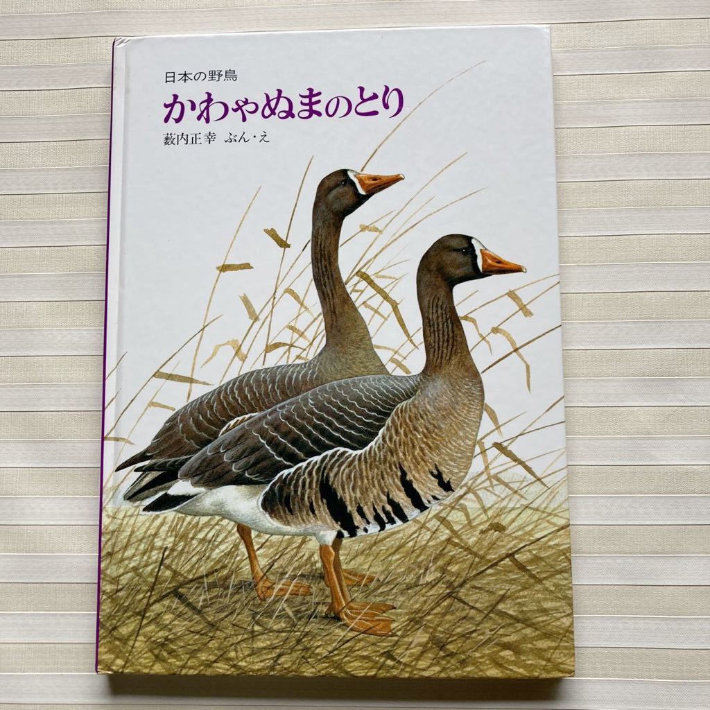 ●かわやぬまのとり 薮内正幸 ぶん・え (福音館のかがくのほん) 日本の野鳥拍卖
