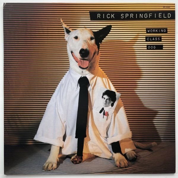 4304 ★美盤 ※未使用に近い Rick Springfield/Working Class Dog拍卖