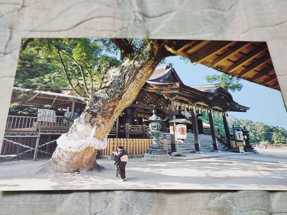 0166 絵葉書 四国 香川県 金刀比羅宮拍卖