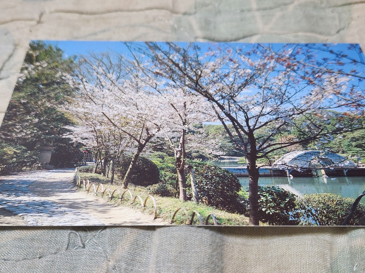 0190 絵葉書 広島 縮景園 桜花巷より跨虹橋をのぞむ拍卖