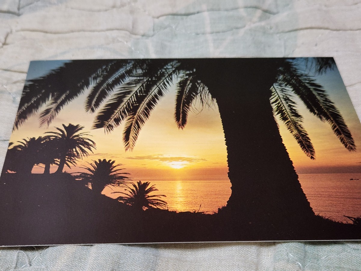 0195 絵葉書 宮崎 日南海岸 堀切峠の日の出拍卖