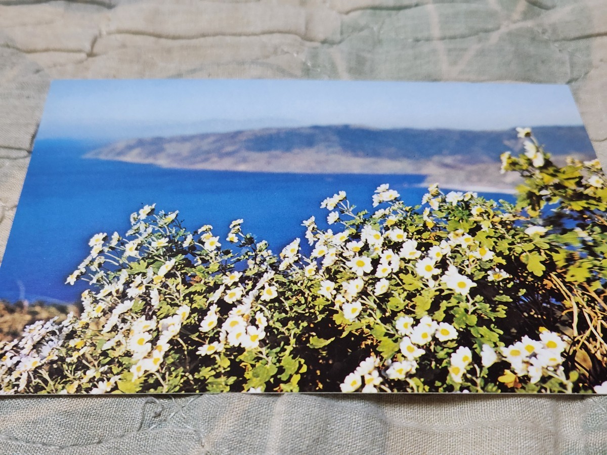 0197 絵葉書 宮崎 日南海岸 都井峠拍卖