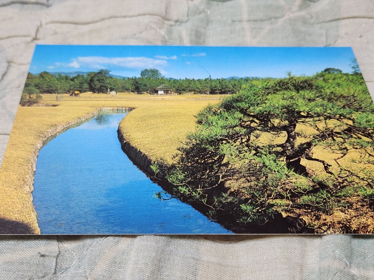 0223 絵葉書 岡山後楽園 晩秋(曲水)拍卖