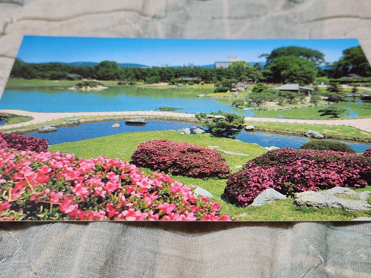 0229 絵葉書 岡山後楽園 唯心山より中の島を望む拍卖