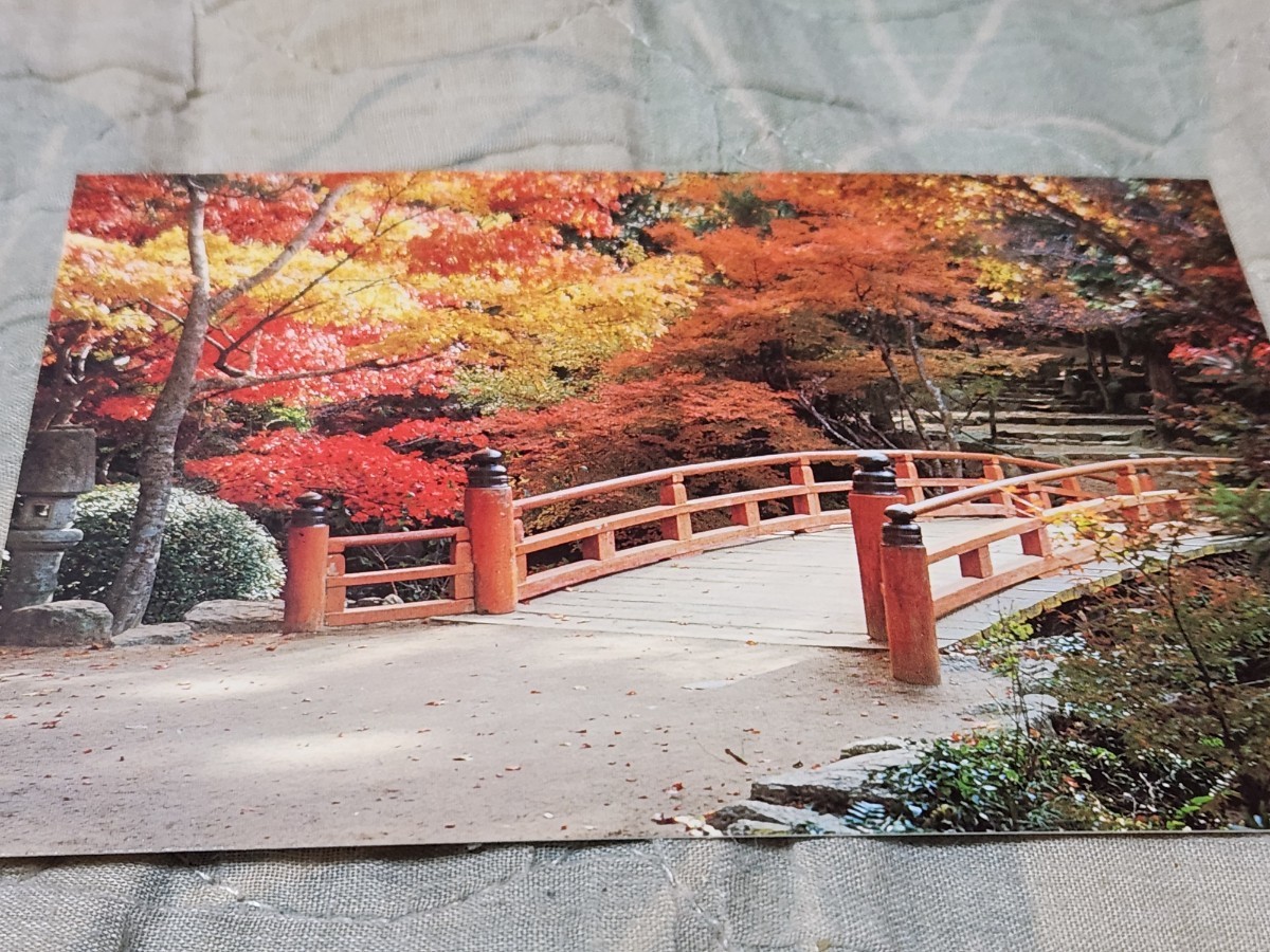 0253 絵葉書 安芸の宮島 紅葉谷・紅葉橋拍卖
