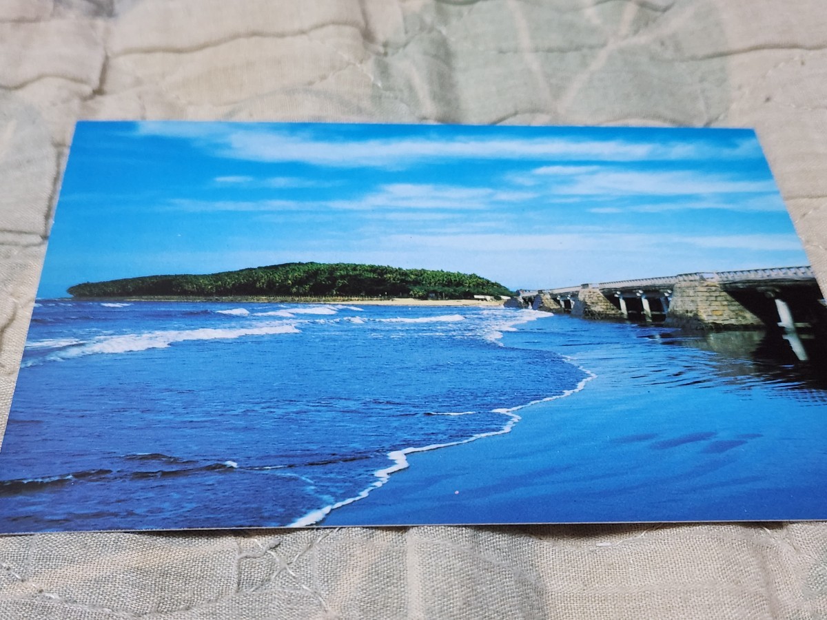 0359 絵葉書 日南海岸・青島 ビロー樹茂る青島全景拍卖