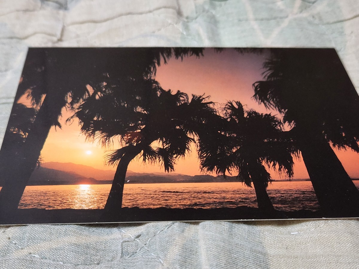 0363 絵葉書 日南海岸・青島 青島の夕照拍卖