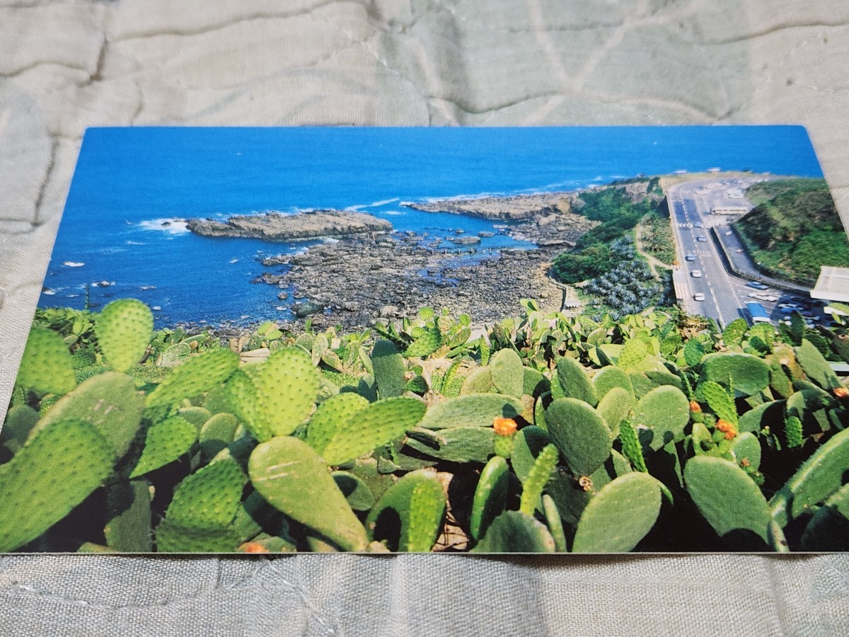 0364 絵葉書 日南海岸・青島 サボテン公園拍卖