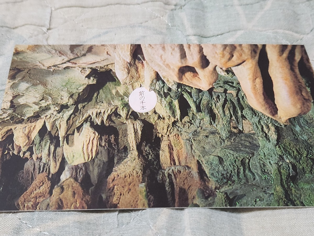 0377 絵葉書 天然記念物・史蹟 龍河洞 前の千本拍卖