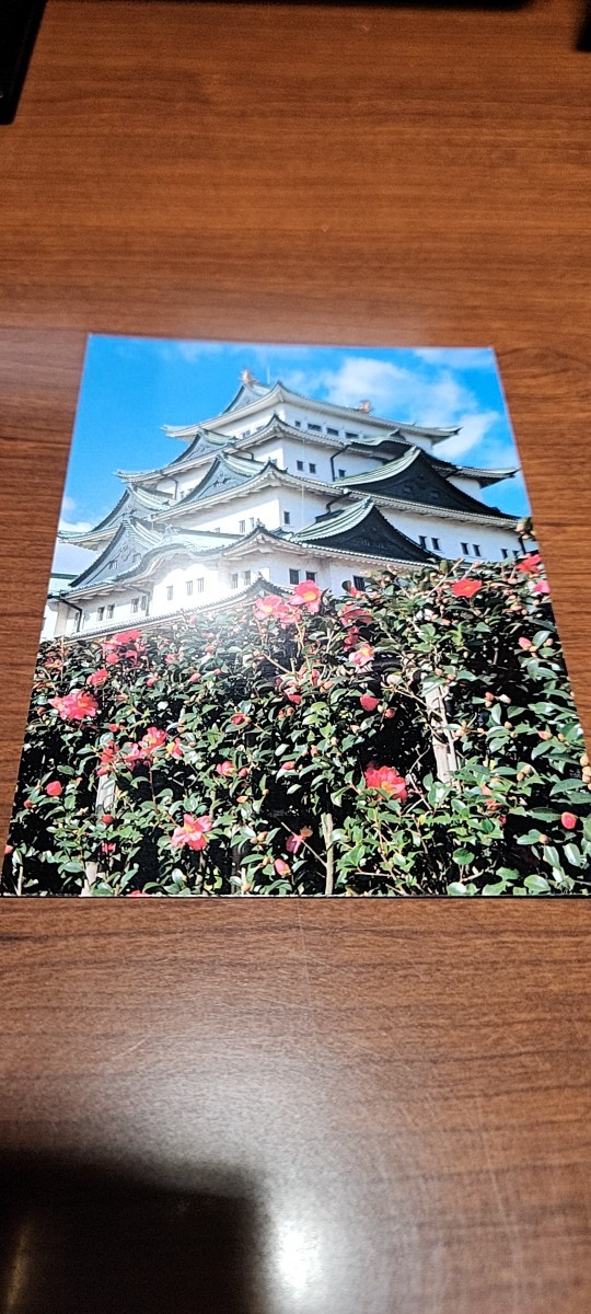 0067 絵葉書 名古屋城 城郭の山茶花拍卖