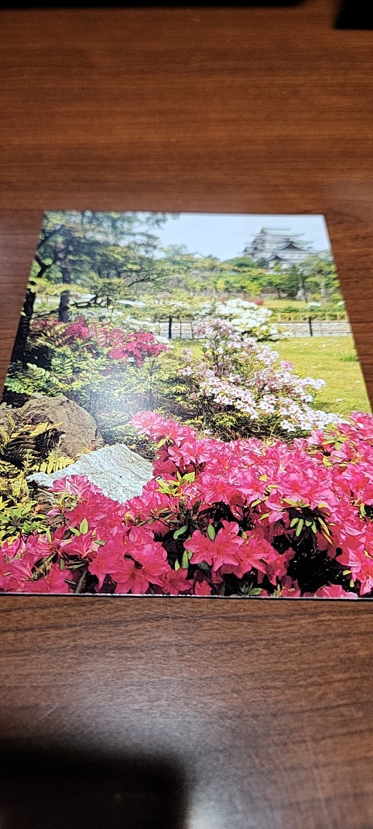 0073 絵葉書 名古屋城 二の丸庭園 南庭の部拍卖