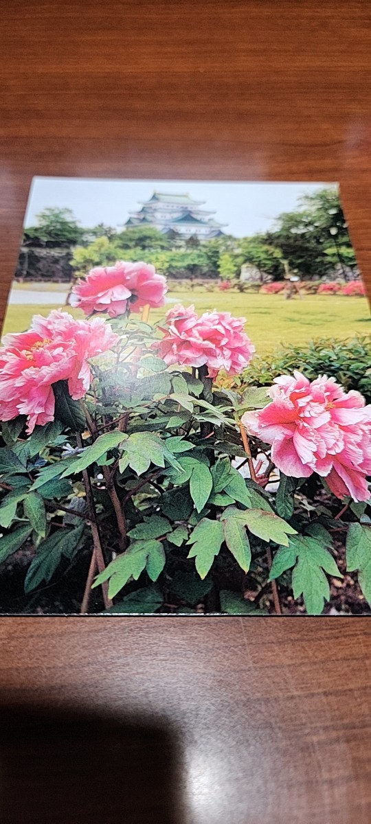 0074 絵葉書 名古屋城 天守閣と牡丹拍卖