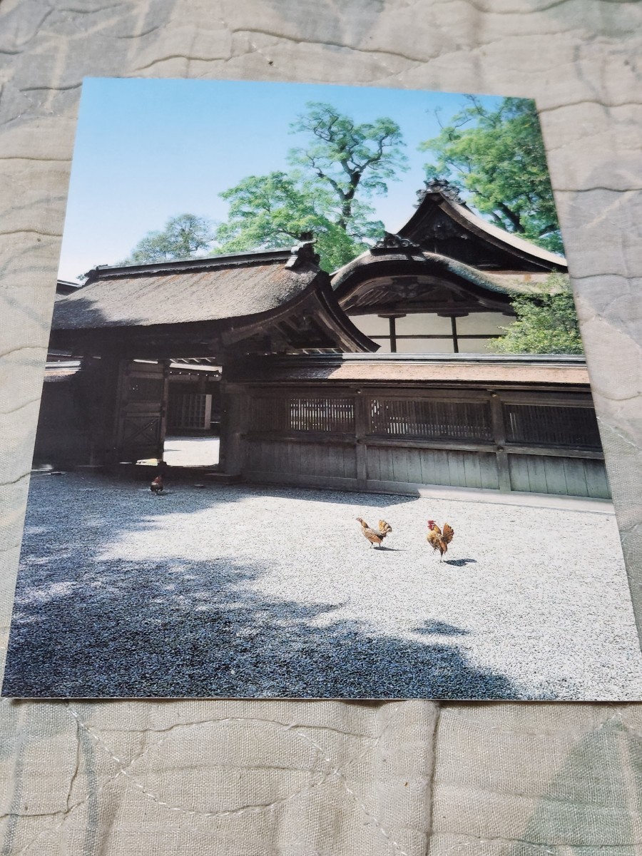 0100 絵葉書 伊勢の神宮 外宮神楽殿拍卖