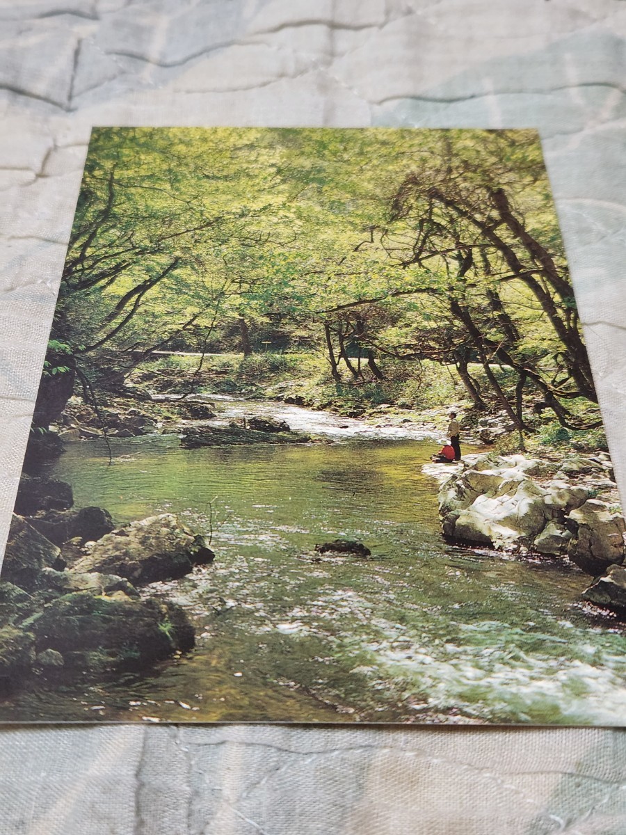 0208 絵葉書 広島 帝釈峡 紅葉ヶ瀬拍卖