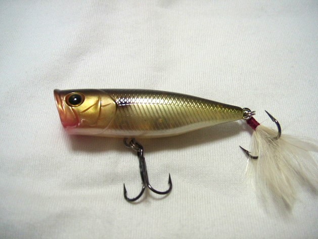 ラッキークラフト NWポッパー ネットワークメンバーズ ポッパー拍卖