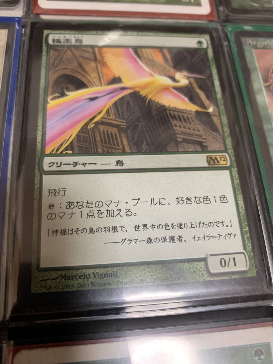 M12 極楽鳥/Birds of Paradise 日本語版 美品拍卖