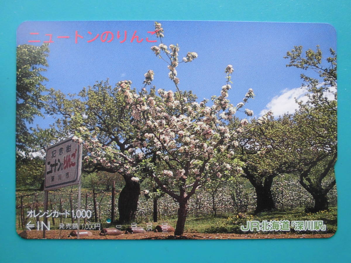 JR北 オレカ 使用済 ニュートンのりんご 1穴 【送料無料】拍卖