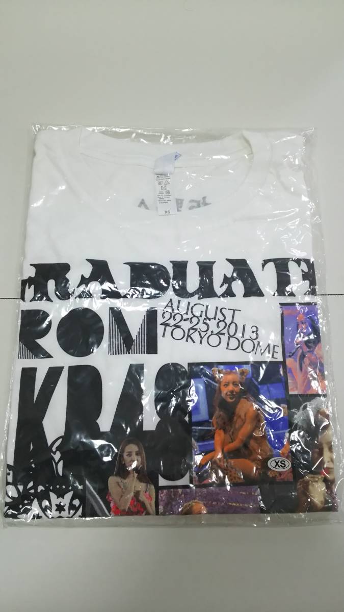 AKB48 板野友美 卒業記念Tシャツ 2013 東京ドーム サイズXS拍卖