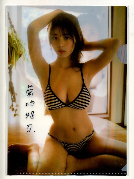 ヤングガンガン 2023年09号付録 菊地姫奈 クリアファイル拍卖