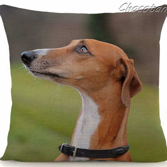 【送料無料】グレーハウンド ⑧ クッションカバー【新品】拍卖