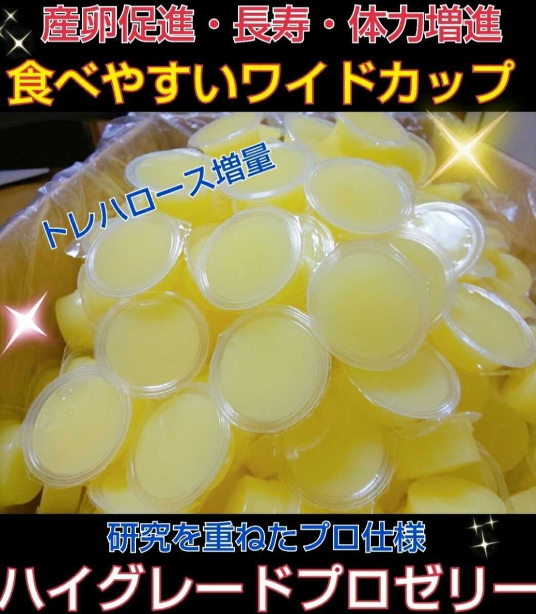 特選ハイグレードプロゼリー【50個】特殊アミノ酸強化配合!産卵促進・長寿・体力増進に抜群!オスも食べやすいワイドカップ☆昆虫ゼリー拍卖