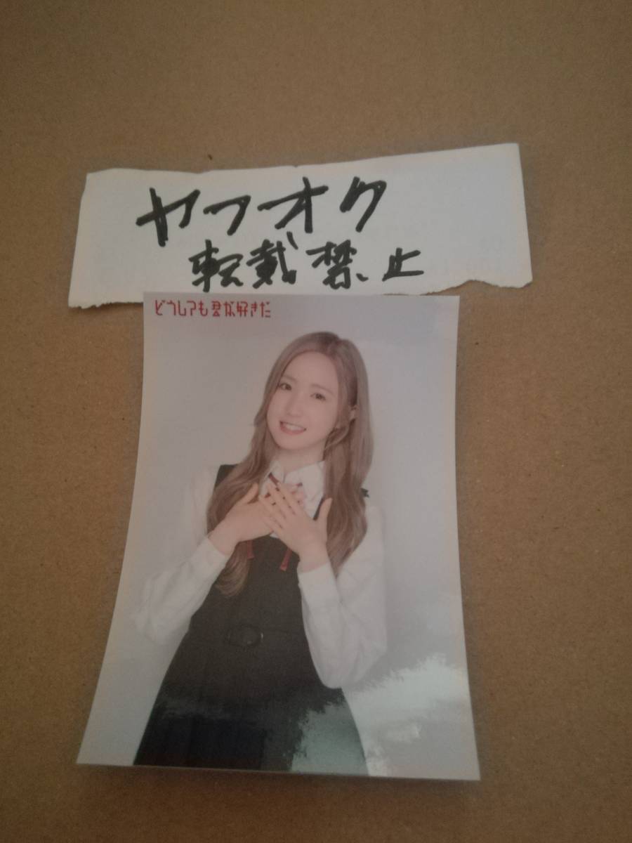 本田仁美 会場限定ソロスマホサイズステッカー AKB48 61stシングル どうしても君が好きだ 春コンサート2023拍卖