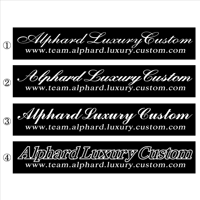 アルファード Luxury Custom 30センチ拍卖
