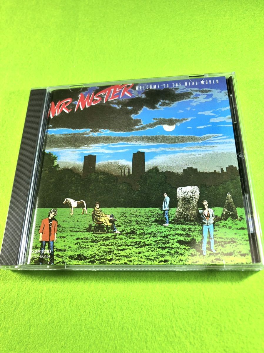 (中古 CD)ウェルカム・トゥ・ザ・リアル・ワールド/Mr.ミスター拍卖
