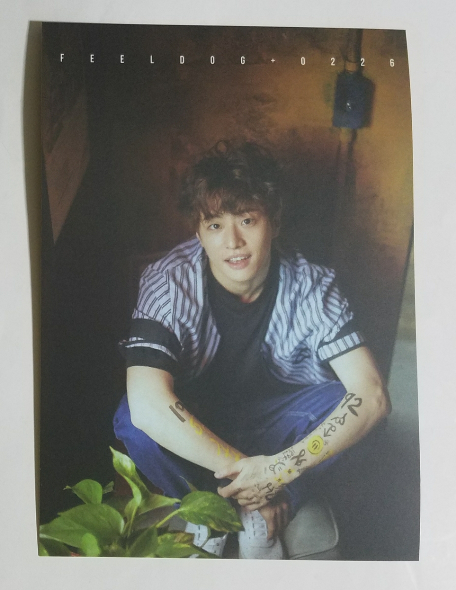 UNB ピルドク BOYHOOD ポストカード 通常盤 即決 FEELDOG BIGSTAR THE UNI+ UNIT トレカ トレーディングカード 1st Mini Album ドユニ拍卖