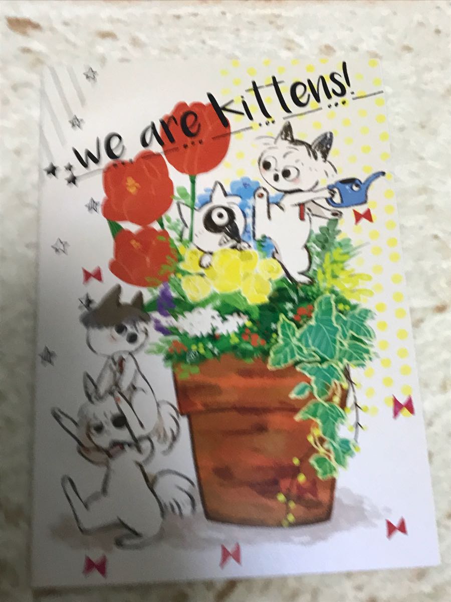 東京喰種 オールキャラ 「we are kitten!」odd拍卖