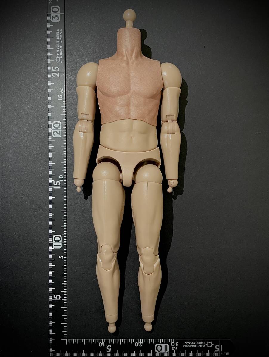 【値上げ予定】DAMTOYS 模型 1/6 男性 フィギュア 素体 ショートジョイント 高品質 衣装を着せて飾る為の素となる部品 未使用拍卖