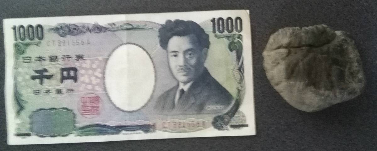 路傍の石 どこにでもある石 何の変哲もない石 拾った石 普通の石 ただの石 石ころ拍卖