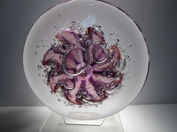 現代アメリカガラス 作家物 John Macdonald作 jellyfish フリスビー型 ペーパーウエイト 11.5cm径 オーガニックデザイン拍卖