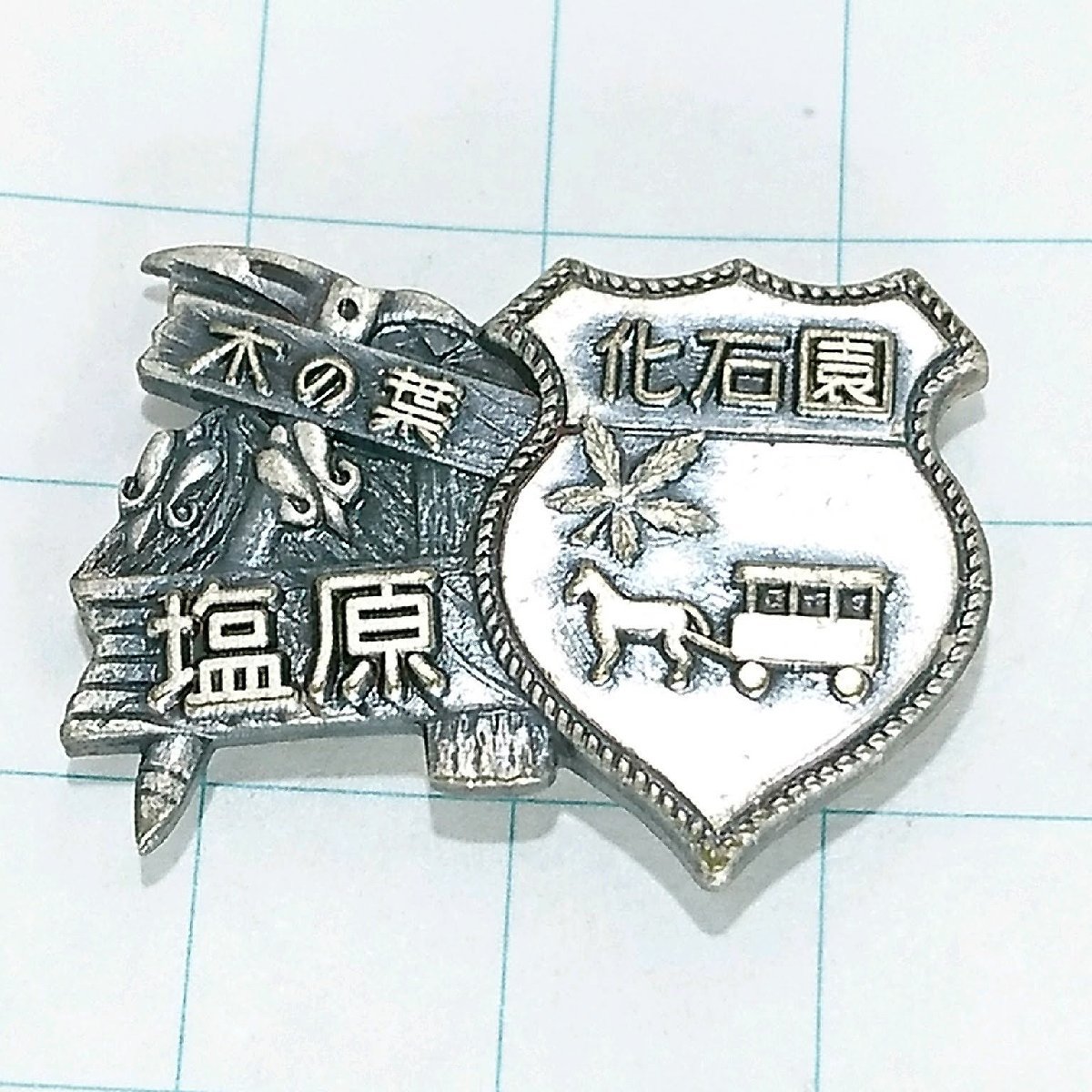 送料無料)塩原 ご当地 観光地 登山 山登り 旅行 記念 山バッジ ピンバッジ PINS ピンズ A16896拍卖