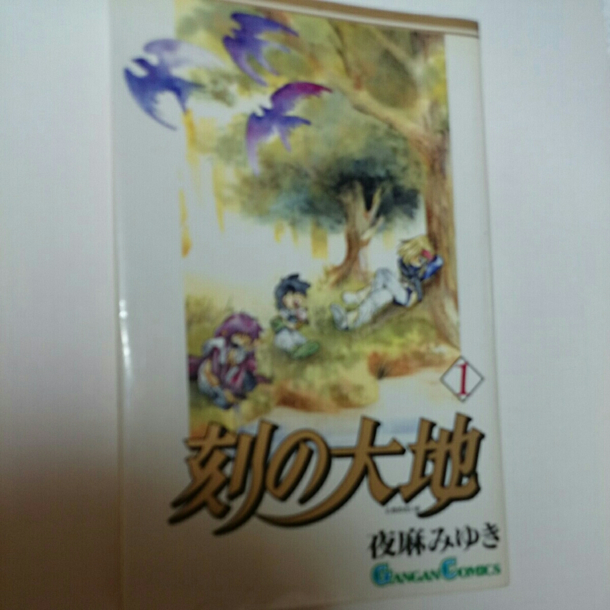 刻の大地 夜麻みゆき 1巻 ガンガンコミックス エニックス拍卖