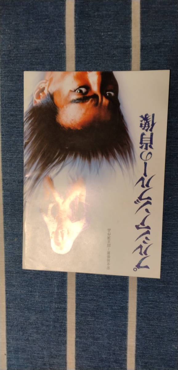 プルシアンブルーの肖像 安全地帯 パンフレット 中古保管品拍卖