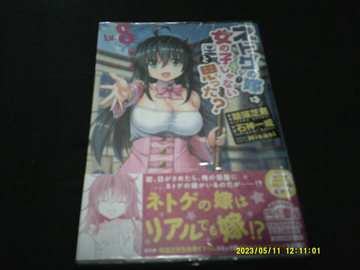 ネトゲの嫁は女の子じゃないと思った?LV8 作:聴猫芝居 発行:電撃コミックNEXT 2018年11月10日 初版発行拍卖
