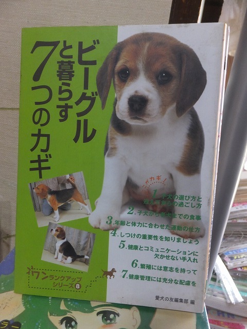 ビーグルと暮らす7つのカギ     ワンランクアップシリーズ8     愛犬の友編集部拍卖