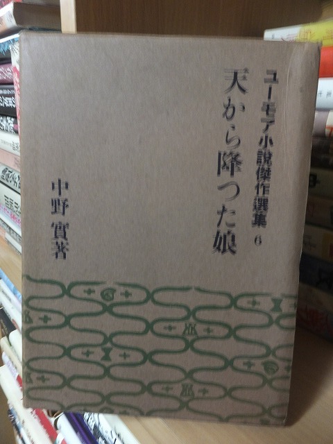 天から降った娘       中野 実           ヤケシミ拍卖