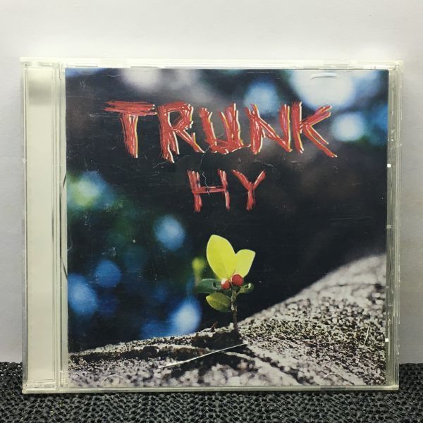 CD TRUNK/HY拍卖