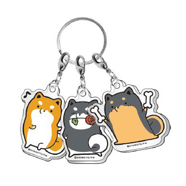 たるしば 3連アクリルキーホルター キーリング アクセサリー アタモト 柴犬 絵本 新品 拍卖
