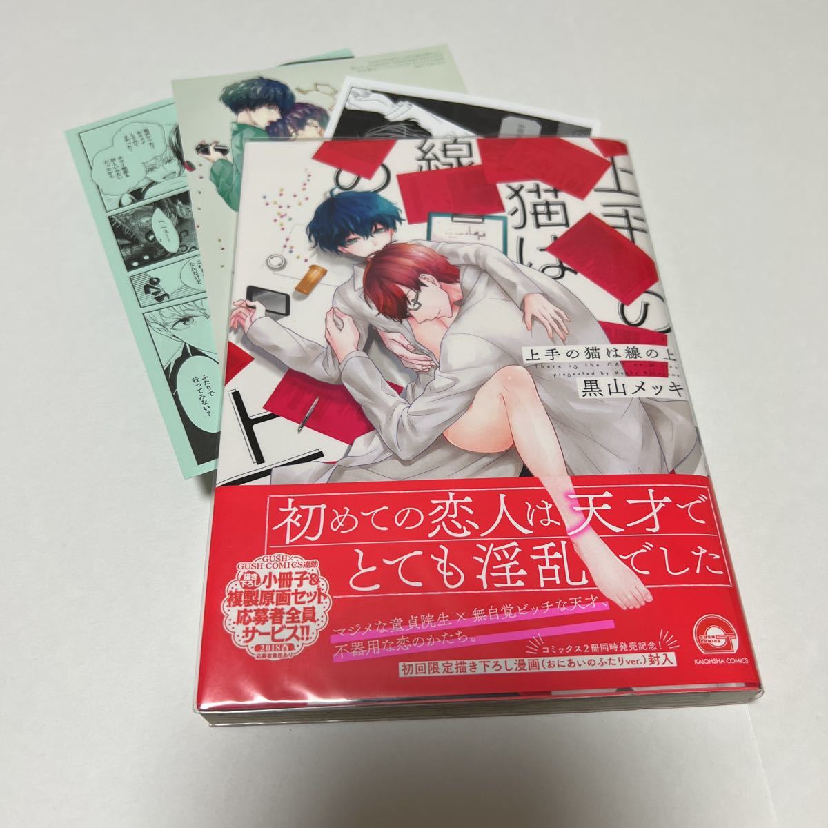 BL★9 イラストサイン本 上手の猫は線の上…黒山メッキ(ミニ漫画、カード、ペーパー)拍卖