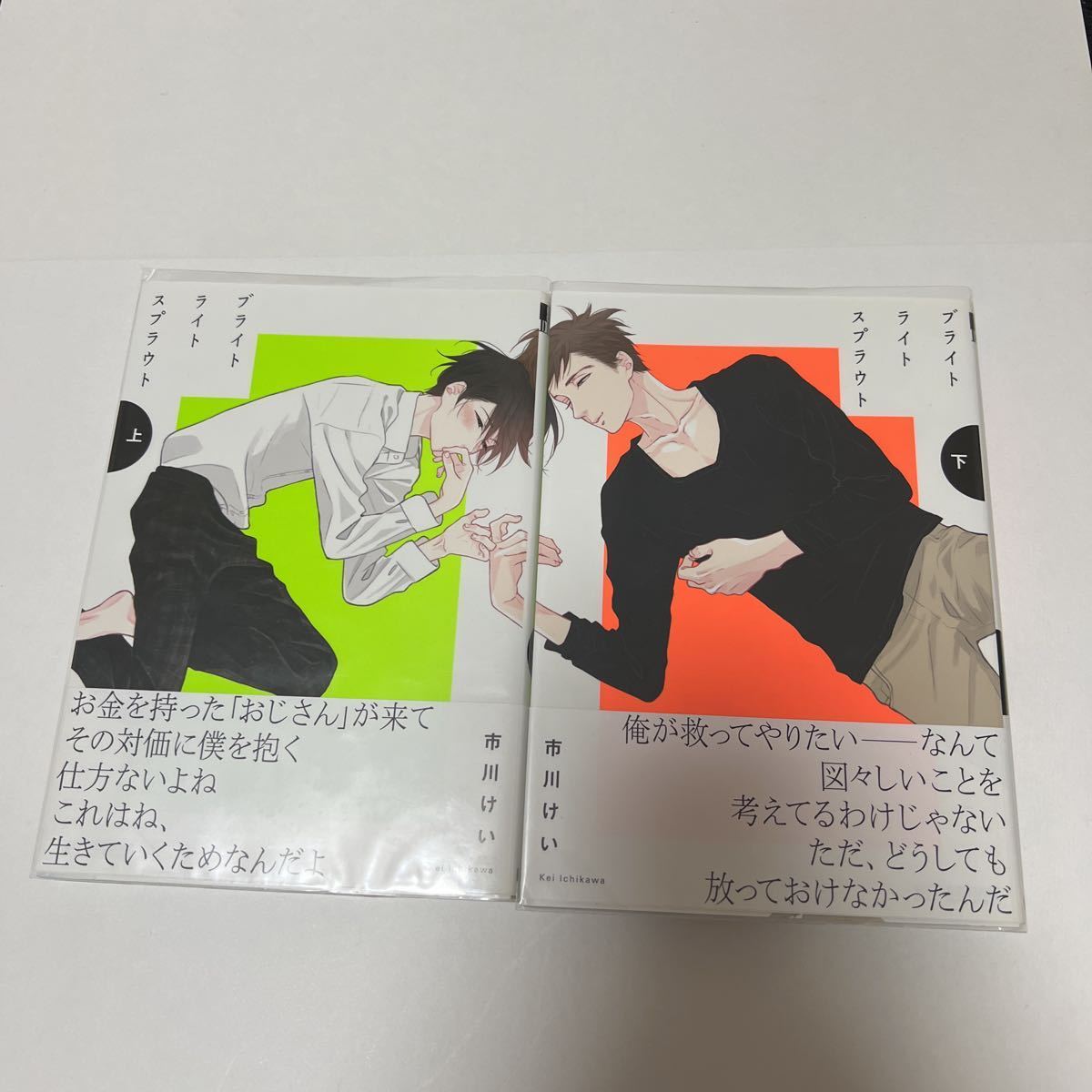 BL 3619 ブライトライトスプラウト(上・下)…市川けい拍卖