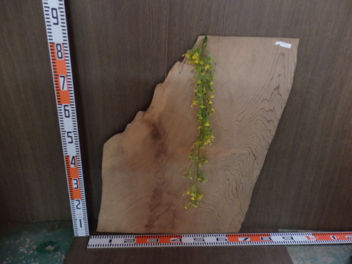 0111050 神代杉板●厚約1.5cm拍卖