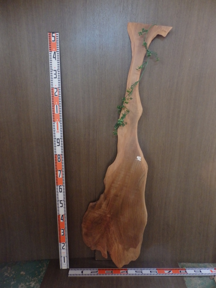 1021801 神代ケヤキ板■約1m52cm×厚1cm拍卖