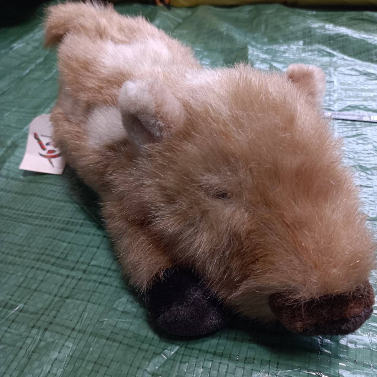 ■ SHYARURU PALETTE シャルルパレット イノシシ うり坊 ぬいぐるみ 人形 猪 タグ有り 全長約35㎝ アニマル 当時物 猪年 日本 japan拍卖